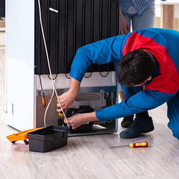 what are the common refrigerator repair services in Palm Valley